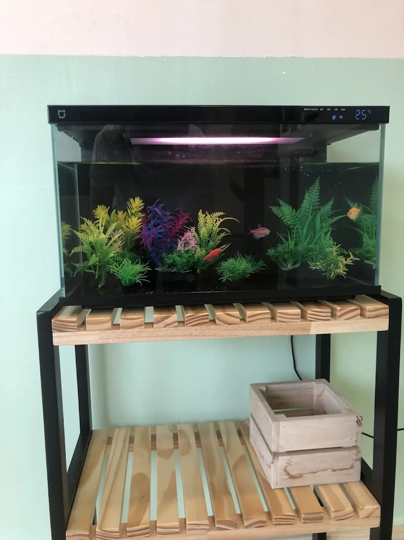 Aquarium in the waiting area to keep children occupied